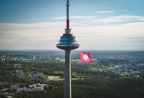 Go-Vilnius-PinkSoupFlag-Domantas Kancleris (4).jpg
