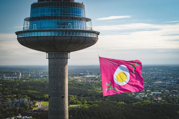 Go-Vilnius-PinkSoupFlag-Domantas Kancleris (6).jpg