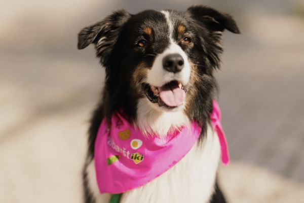 GoVilnius-PinkSoupFest-AHOY-2024 (135).jpg