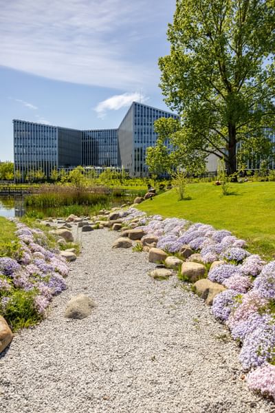 GoVilnius-Green-Sakura-Park-VMS.jpg