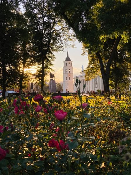 GoVilnius-OldTown-CathedralSquare-Summer_JovydasDobilas.jpg