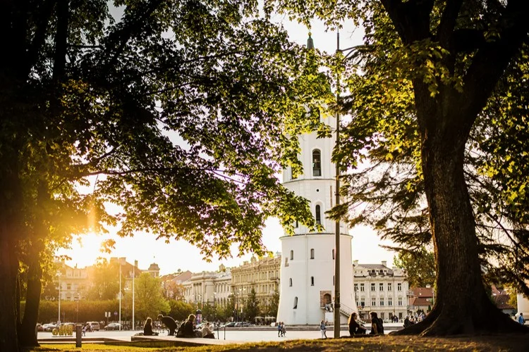 Der Glockenturm der Vilniusser Kathedrale