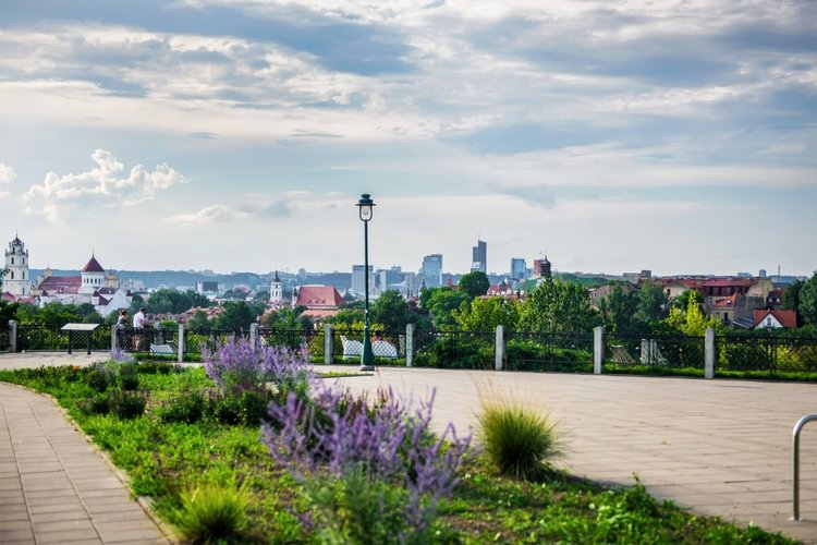 Subačiaus gatvės apžvalgos aikštelė