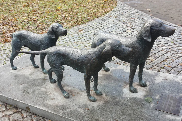 Lithuanian Hounds