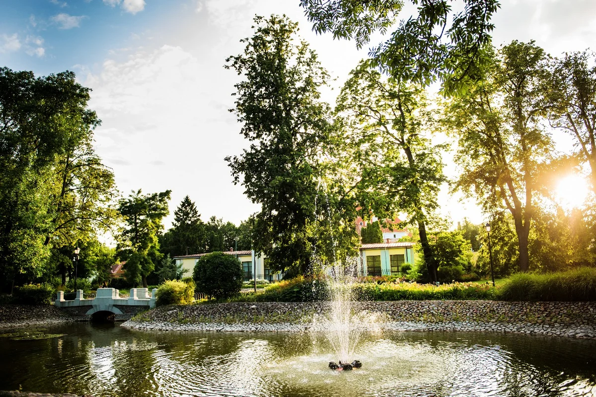 Bernardinų sodas Vilniaus senamiestyje — photo 5