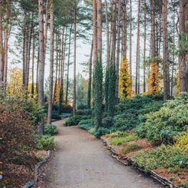 VU Botanischer Garten 