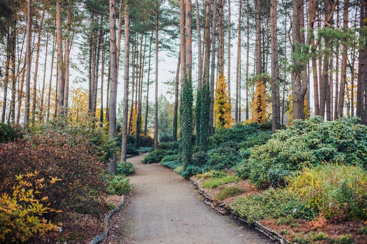 Botanical Garden of Vilnius University