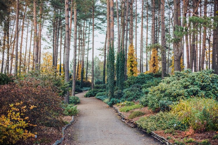 Ботанический сад Вильнюсского университета