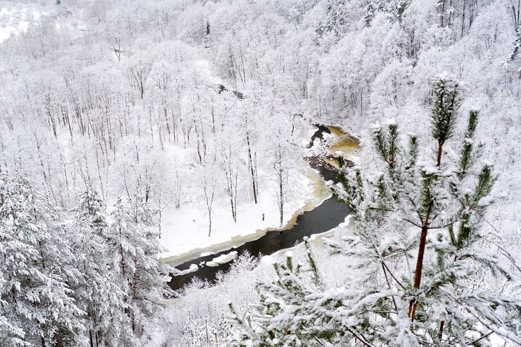 Pūčkorių atodanga