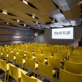 Lietuvos meno pažinimo centras TARTLE