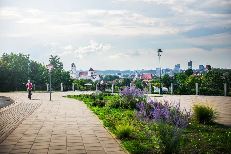 Subačiaus gatvės apžvalgos aikštelė