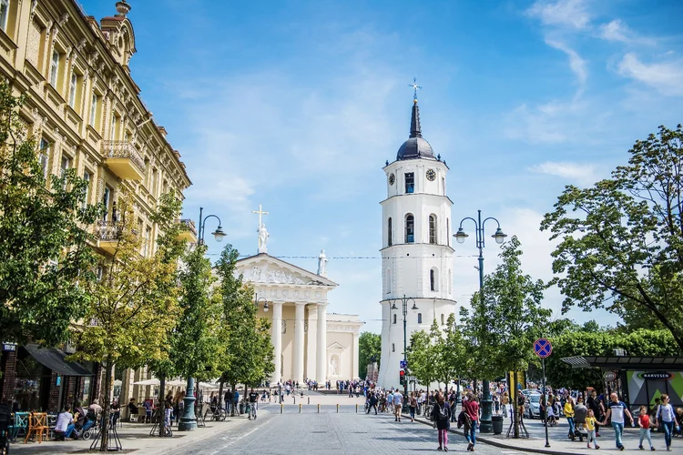 The Cathedral Basilica of St. Stanislaus and St. Ladislaus 