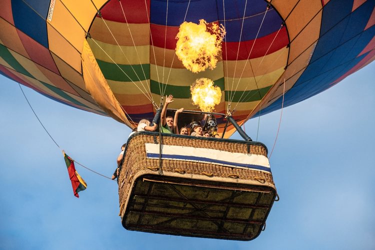 Meška balione /  balloon.lt Hot Air Balloon Flights