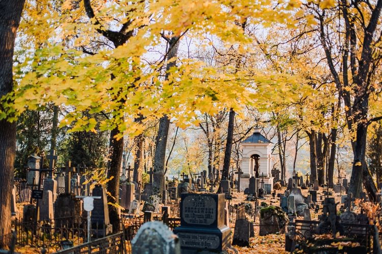 Cmentarz Bernardyński: spokojne miejsce na spacer