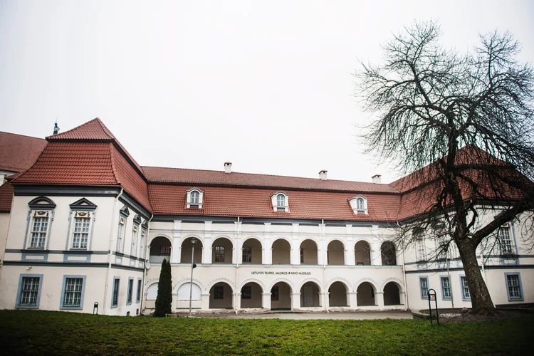 Litauisches Museum für Theater, Musik und Kino