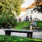 Musical Oginski Bench