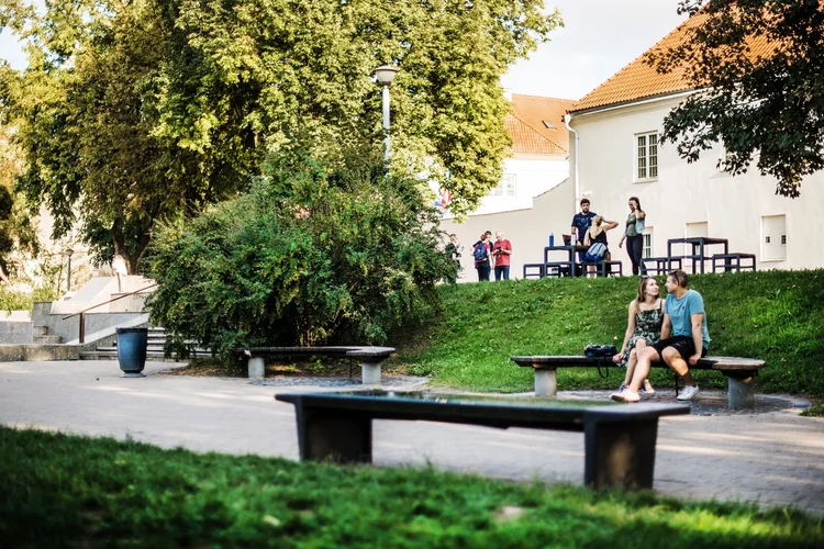 Musical Oginski Bench