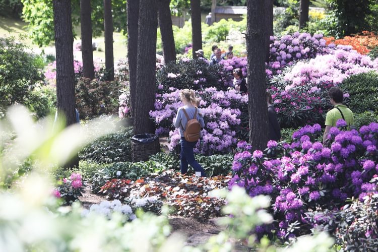 Botanical Gardens in Kairėnai