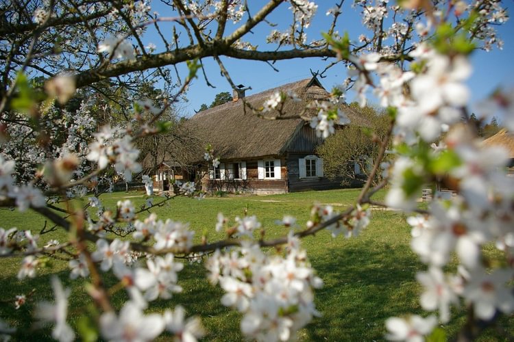  Ethnographic Lithuanian Village of Rumšiškės