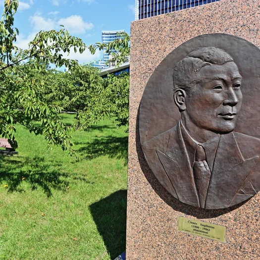 Chiune Sugihara-Sakura-Garten