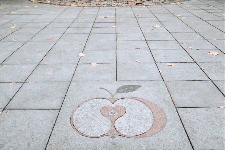 Apple Tile: A Lovers' Meeting Place