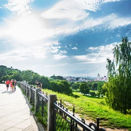 Subačiaus Viewpoint