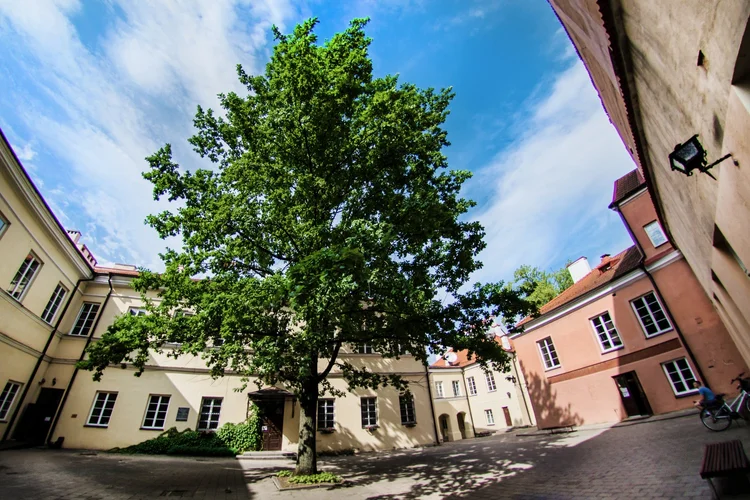 The Vilnius University