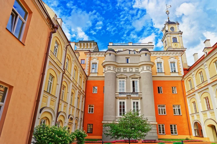 The Vilnius University