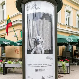 Vilnius Centre Becomes Art Gallery: 100 Art Objects Displayed in Open-Air Exhibition