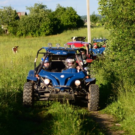 Pushing, Pulling, Climbing, Hitting 