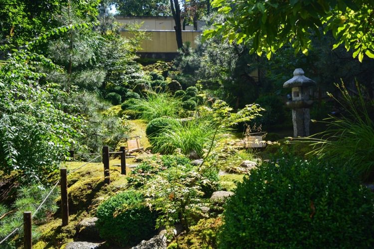 „Tyros širdies“ japoniškas sodas