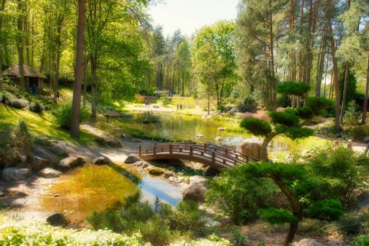Japoniškas sodas Vilniaus universiteto botanikos sode