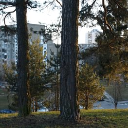 Ekskursija po Pašilaičių rajoną