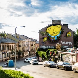 Vilnius City Guide by Ronan J O'Shea