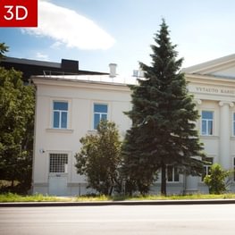 Vytauto Kasiulio dailės muziejus