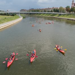 Лазанье по деревьям, походы, вейкбординг, каякинг, сапсёрфинг, 