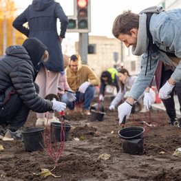 Vilnius Presents Tactics to Fight Climate Change: Thousands of Trees and Millions of Shrubs to Be Planted in Streets
