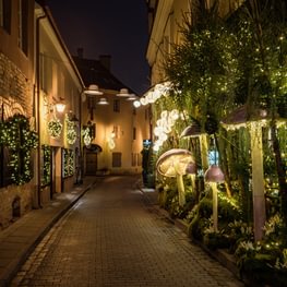 Things to do in Vilnius as Christmas approaches