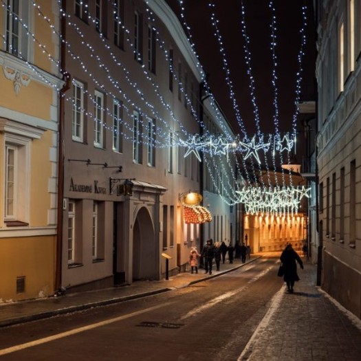 Vilnius University
