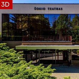 Šokio teatras
