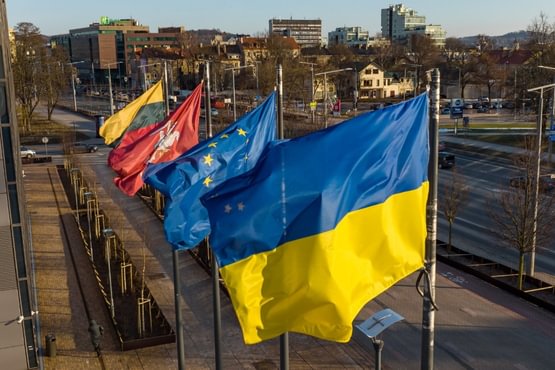Вильнюс поддерживает Украину