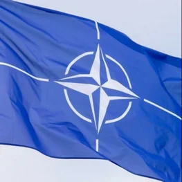Paskelbta NATO Viršūnių susitikimo Vilniuje data