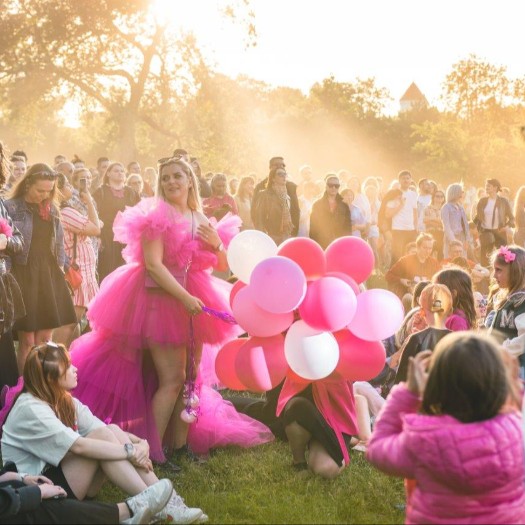 Šaltibarščių spalva Vilniui tinka  (nuotraukų galerija)