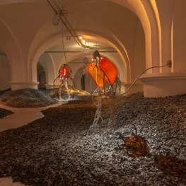 Planet Has Fever — Lithuanian Pavilion of 60th La Biennale di Venezia Will Focus on Climate Crisis