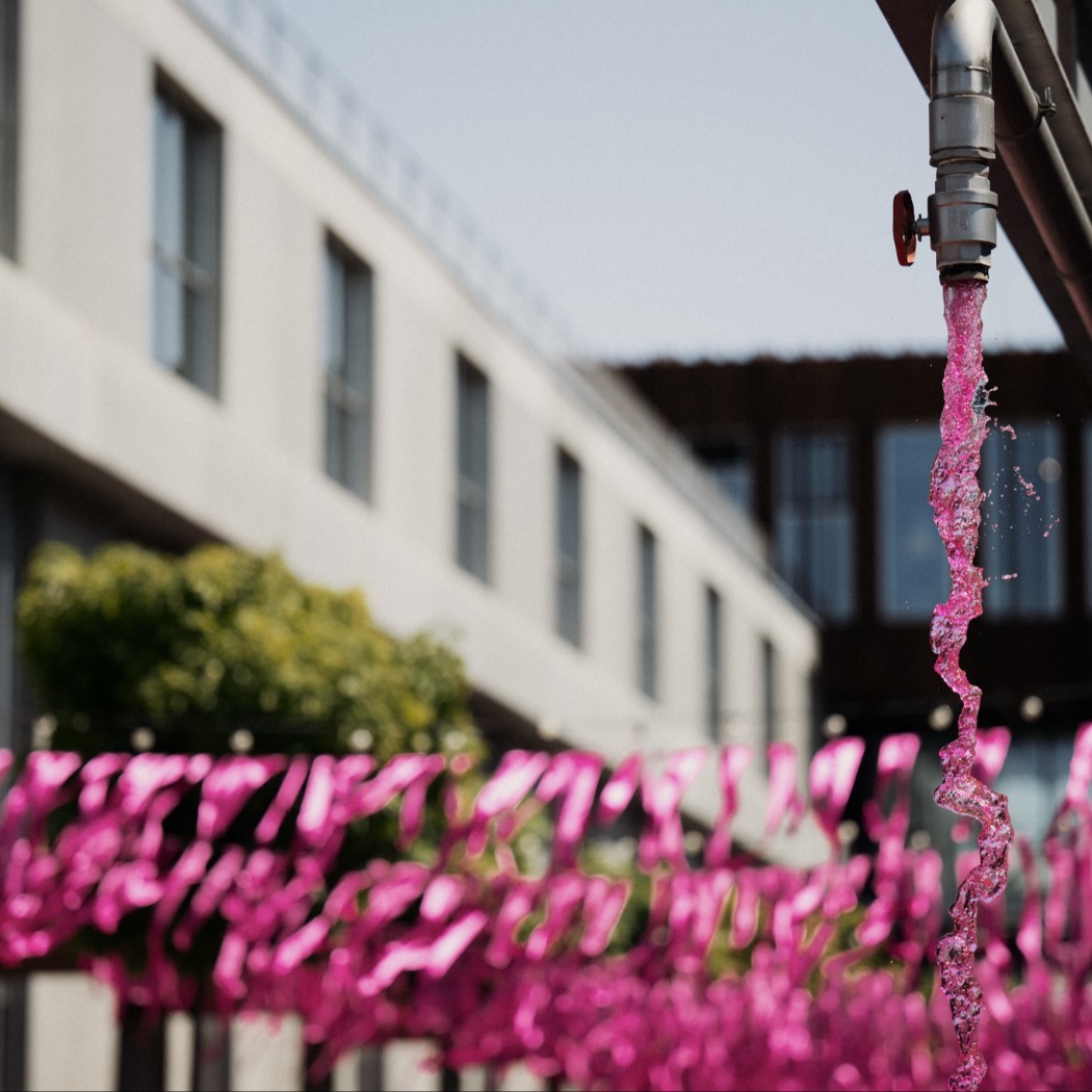 Vilniaus Šaltibarščių festivalis skelbia vietą ir kviečia tapti rožinio miesto dalimi