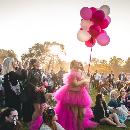 Vilniaus šaltibarščių festivalyje – Mariną Abramović sužavėjęs menininkės Monikos Dirsytės performansas