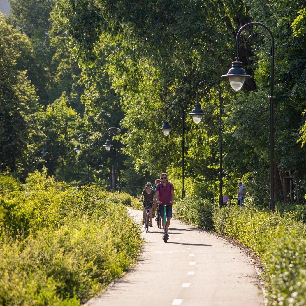 Lokalne taktyki walki ze zmianą klimatu  