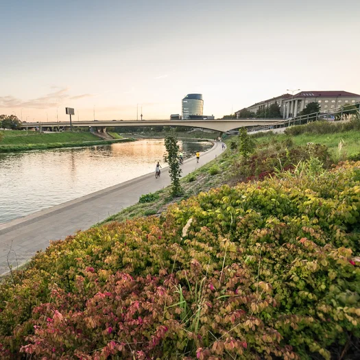 Ścieżka 100 km wokół Wilna