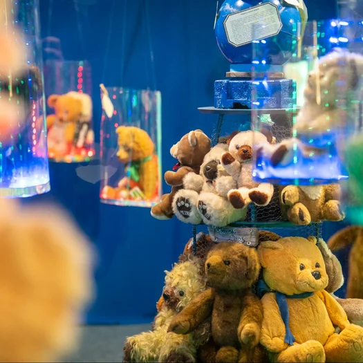 The Teddy Bear Museum 