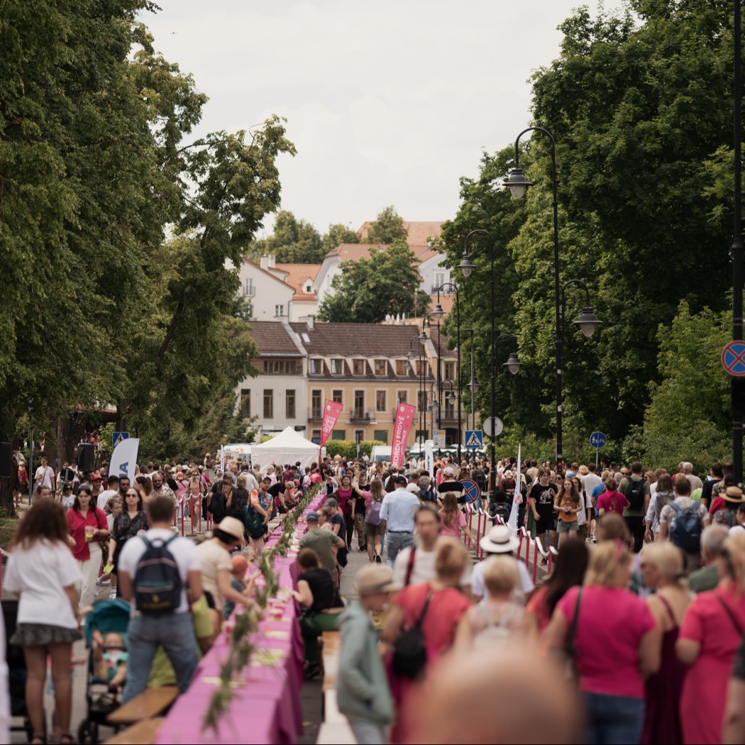 Vilniaus šaltibarščių festivalis vėl užlies sostinę rožine banga: prie šventės kviečia jungtis partnerius